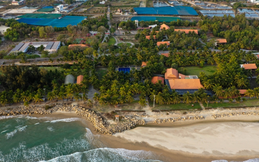 Khuôn viên Đất Lành Beach Resort — bungalow ẩn mình trong vườn dừa sát biển La Gi